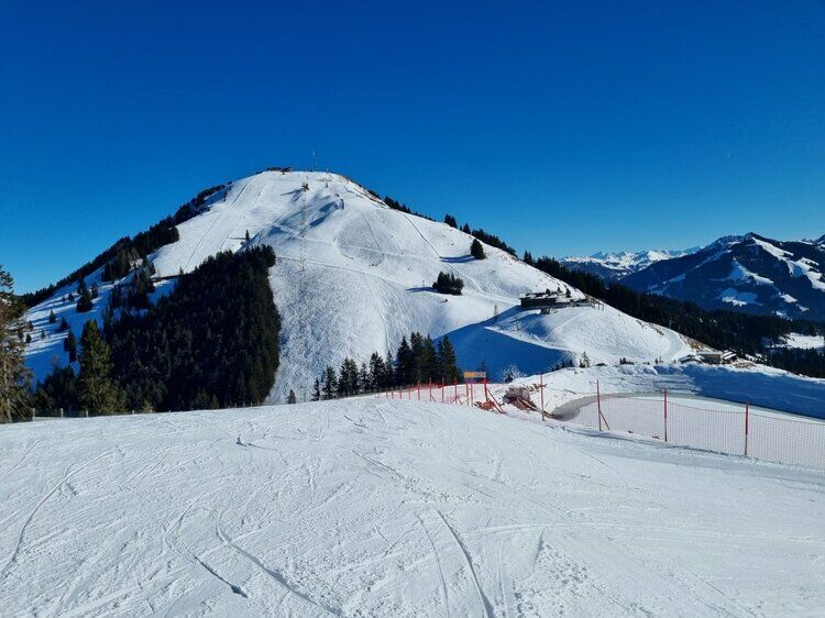 Live-update 155475