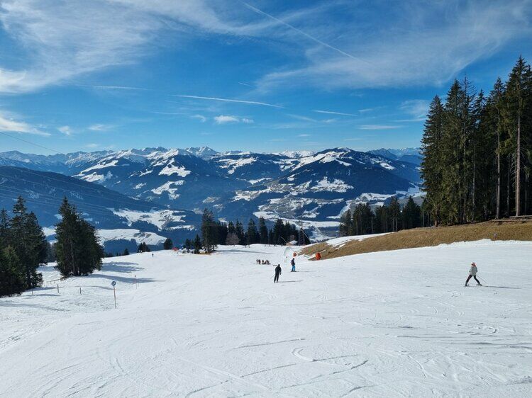 Live-update 155681