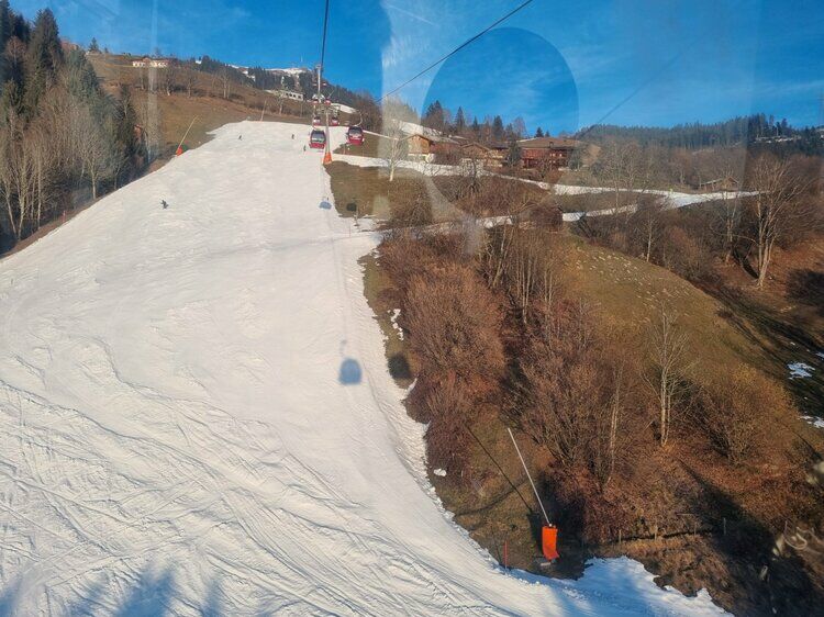 Live-update 155691