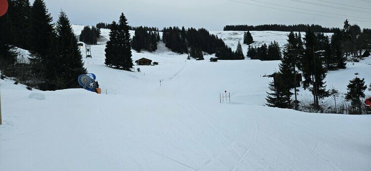 Live-update 153676