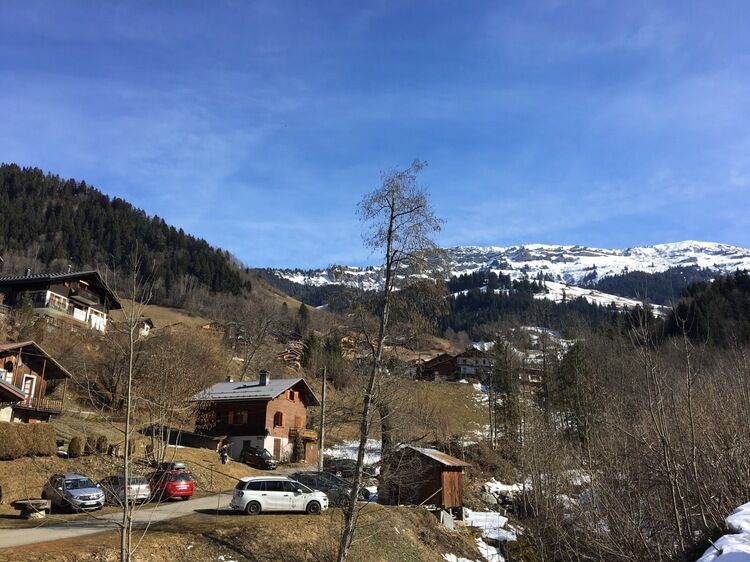 Live-update 65370