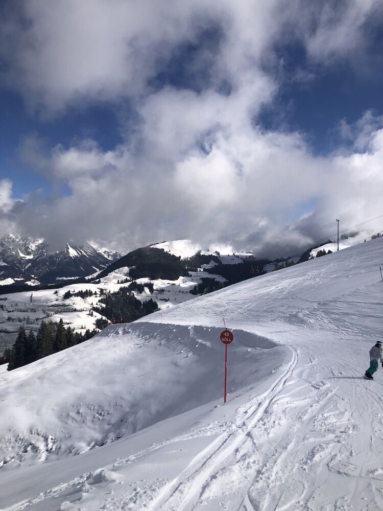 Live-update 137158