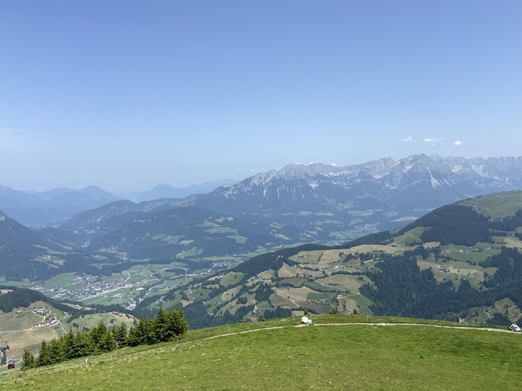 Live-update 138436
