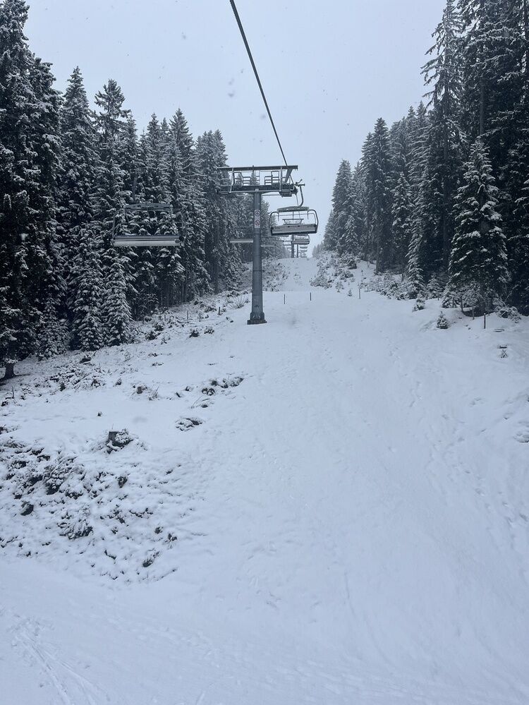 Live-update 157539