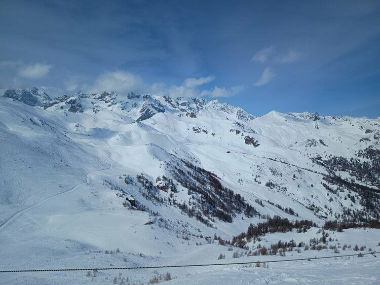 Live-update 159330