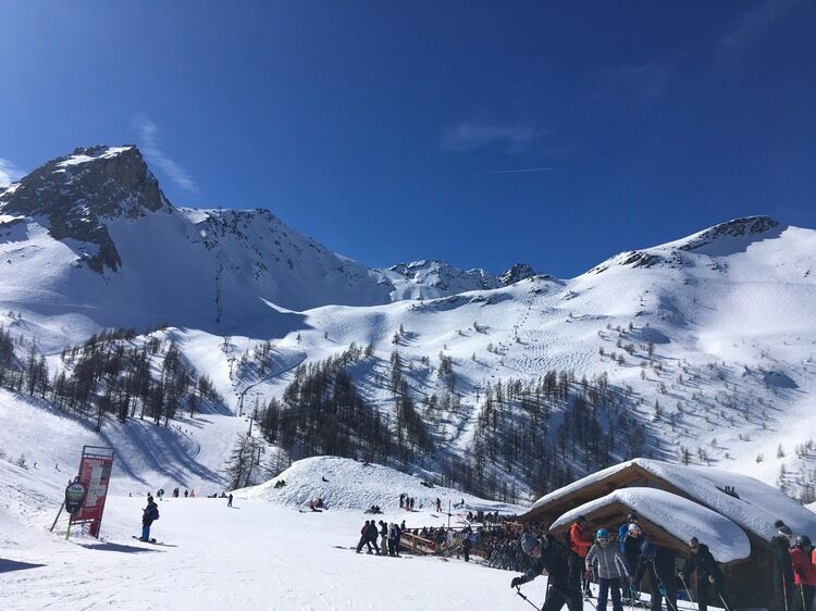 Live-update 110231