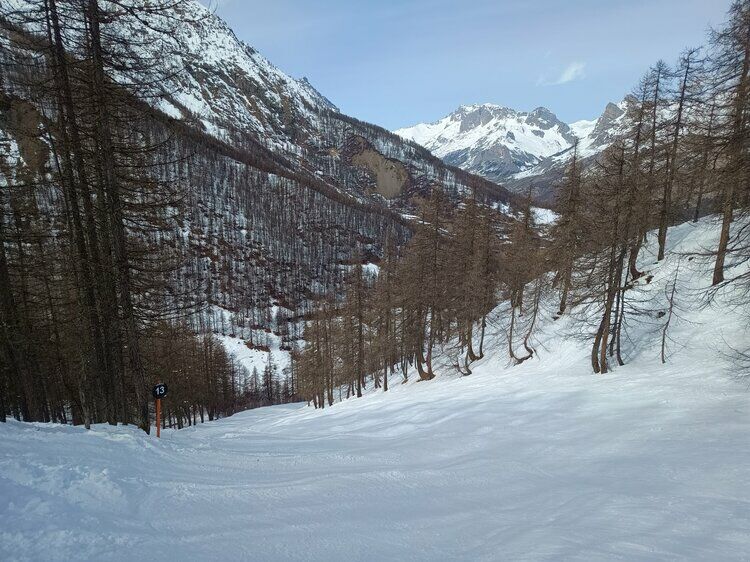 Live-update 159337