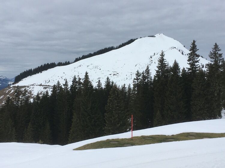 Live-update 137542