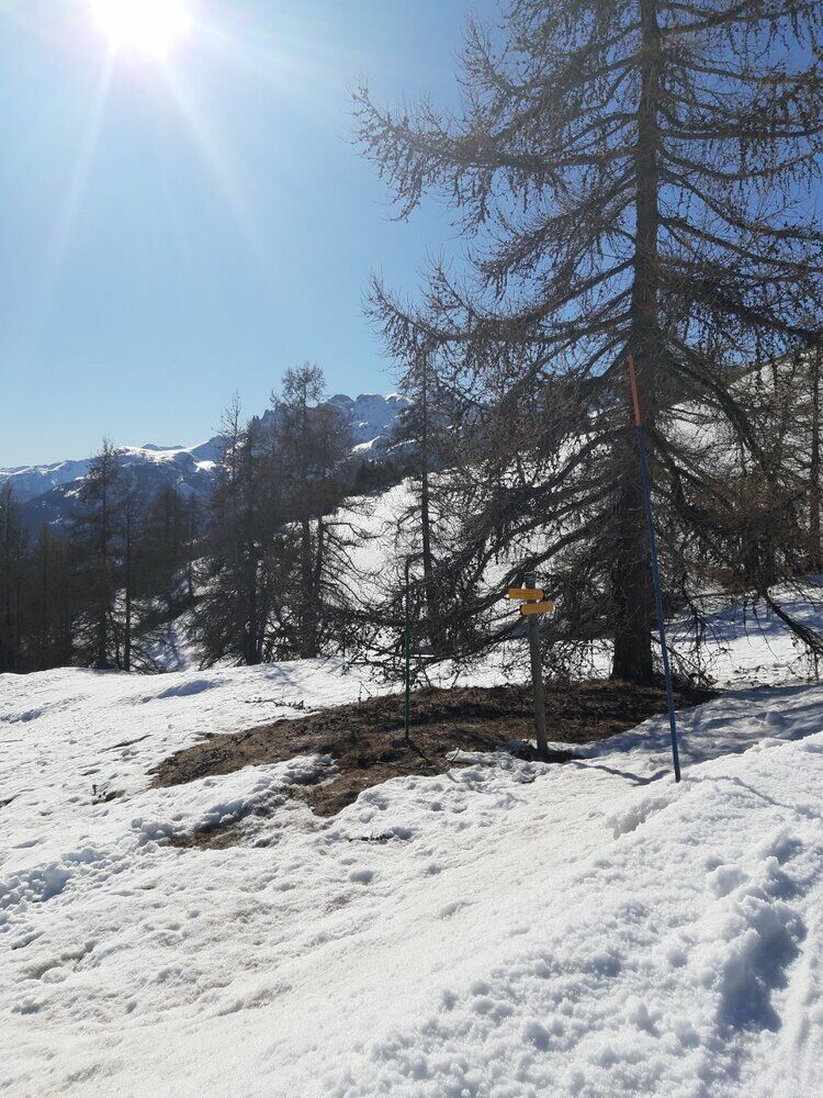 Live-update 110515