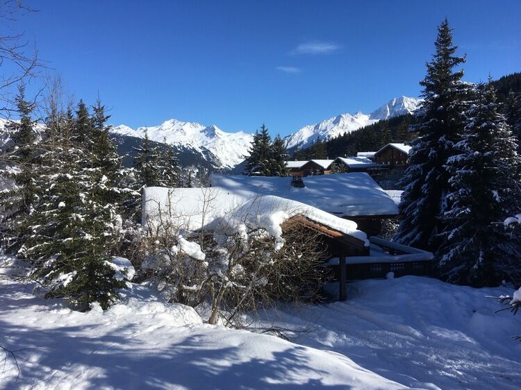 Live-update 103442