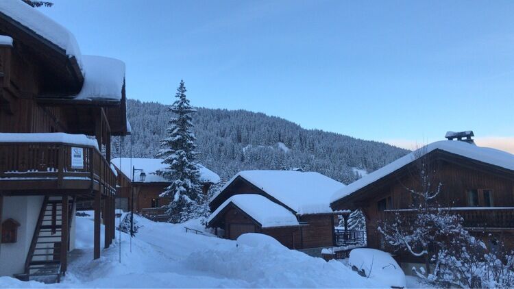 Live-update 93317