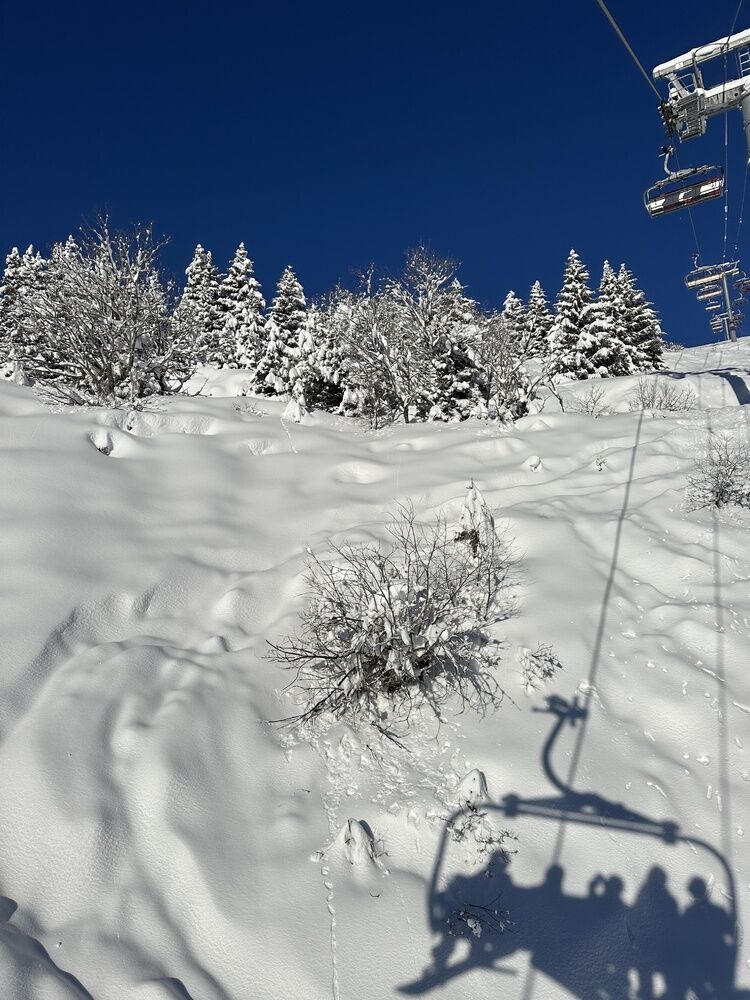 Live-update 155065