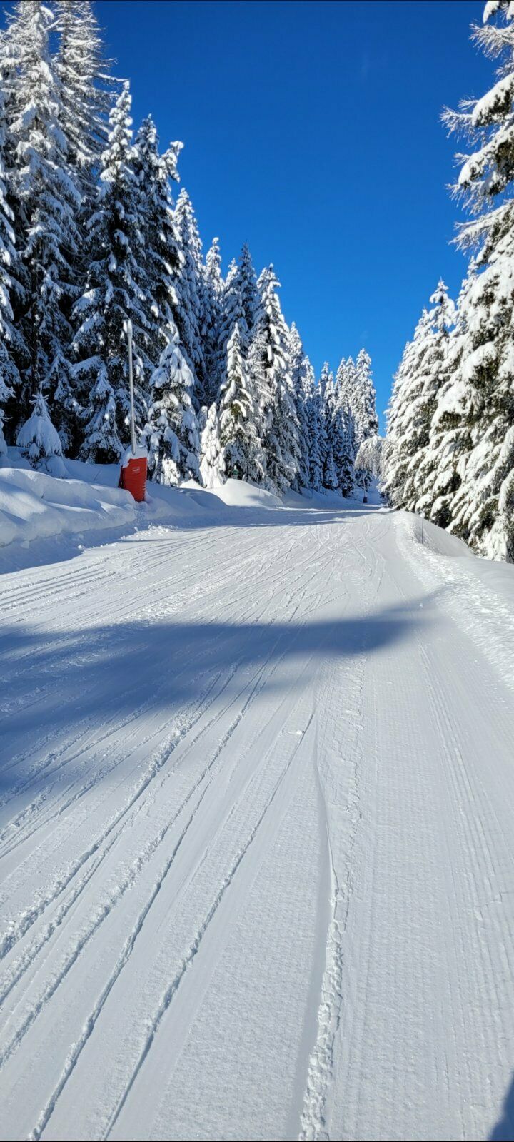 Live-update 155793