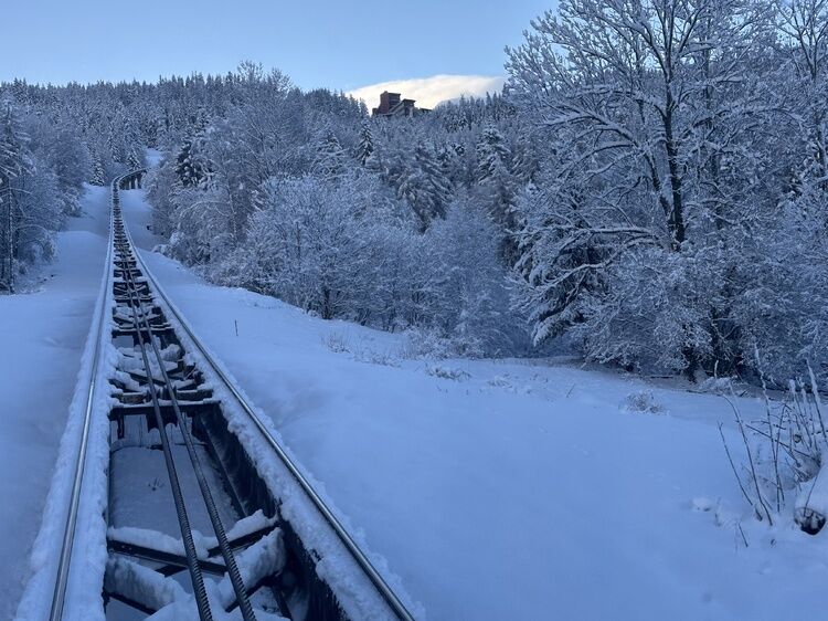 Live-update 155017