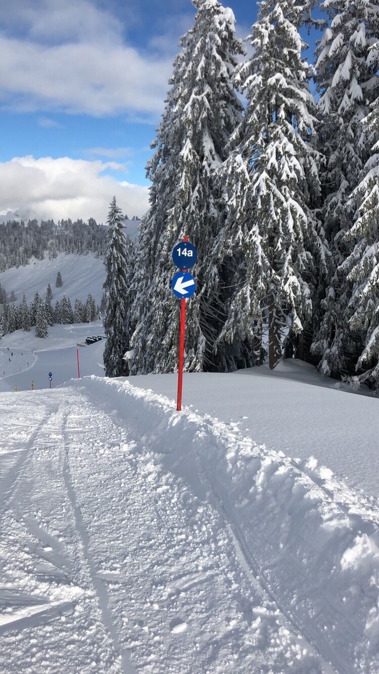 Live-update 103523