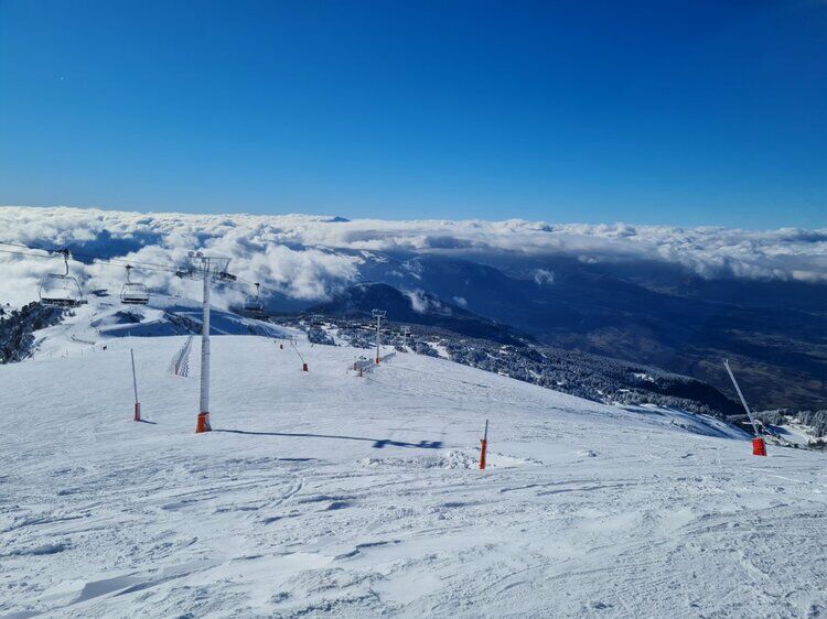 Live-update 117891