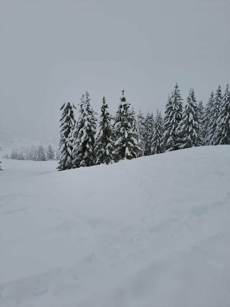 Live-update 137083