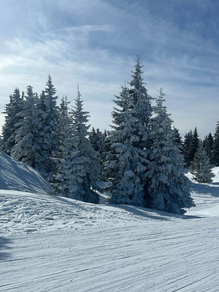 Live-update 158037
