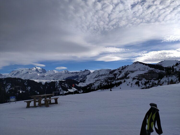 Live-update 116797