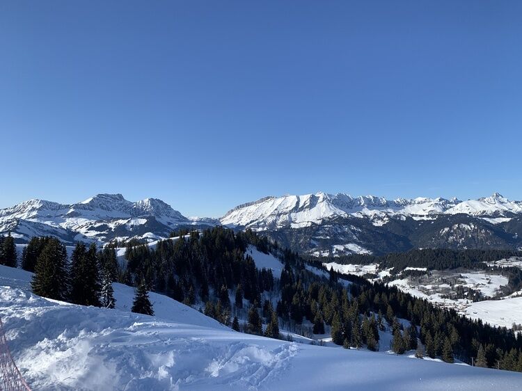 Live-update 155440