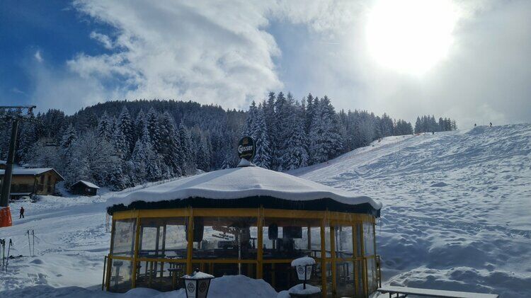 Live-update 134658