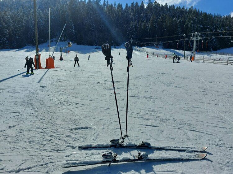 Live-update 157983