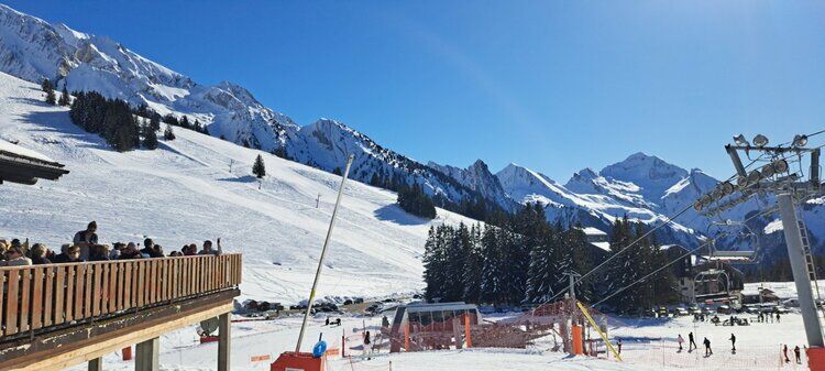 Live-update 155526