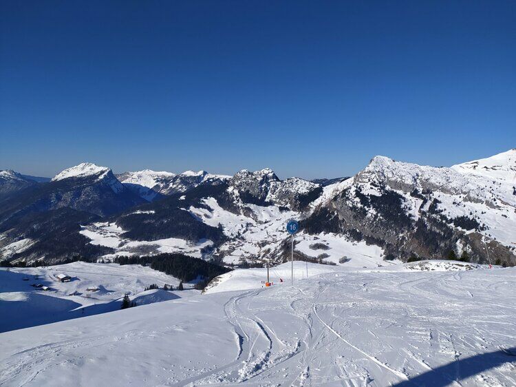 Live-update 132803