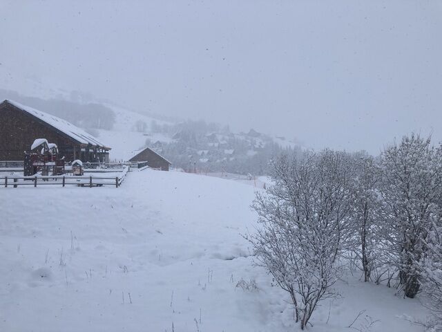 Live-update 137813