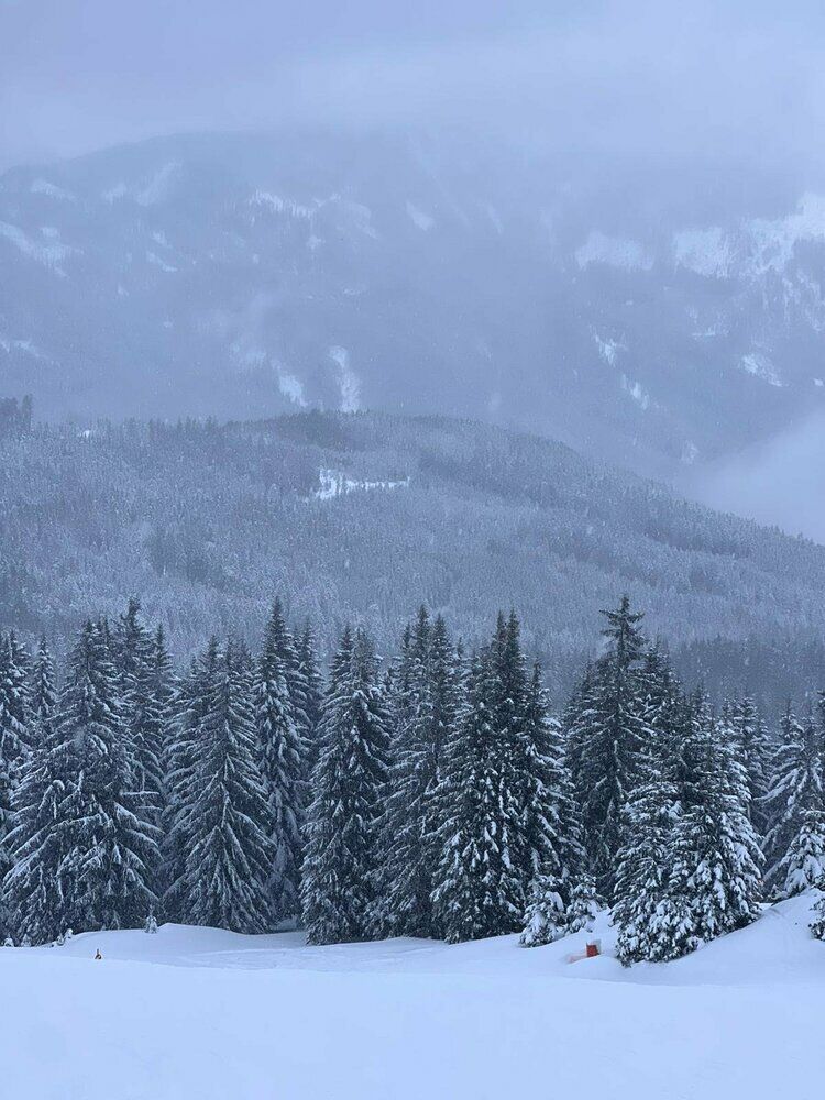 Live-update 151675