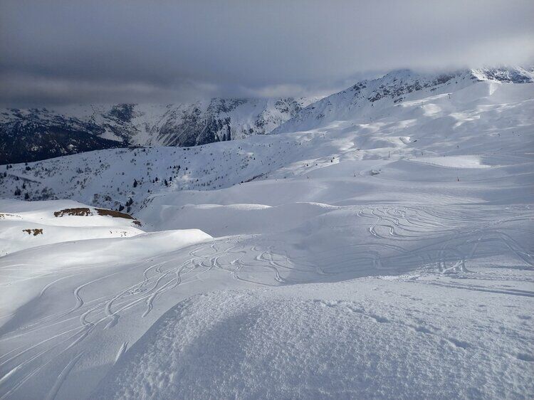 Live-update 119275