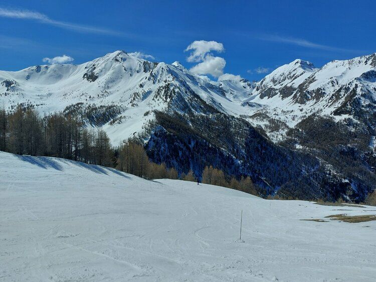 Live-update 137499