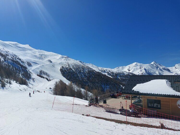 Live-update 137619