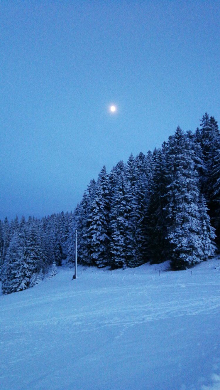 Live-update 86153
