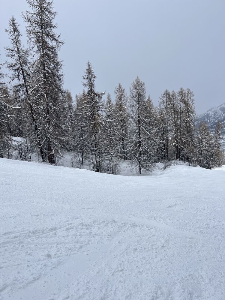 Live-update 151369