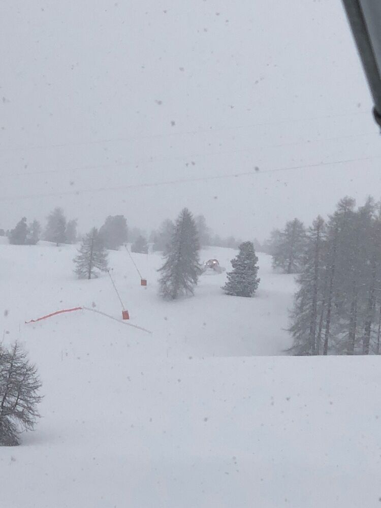 Live-update 82288