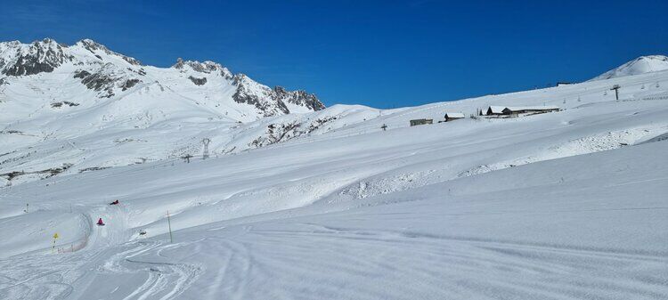 Live-update 137501
