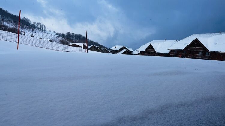 Live-update 137982
