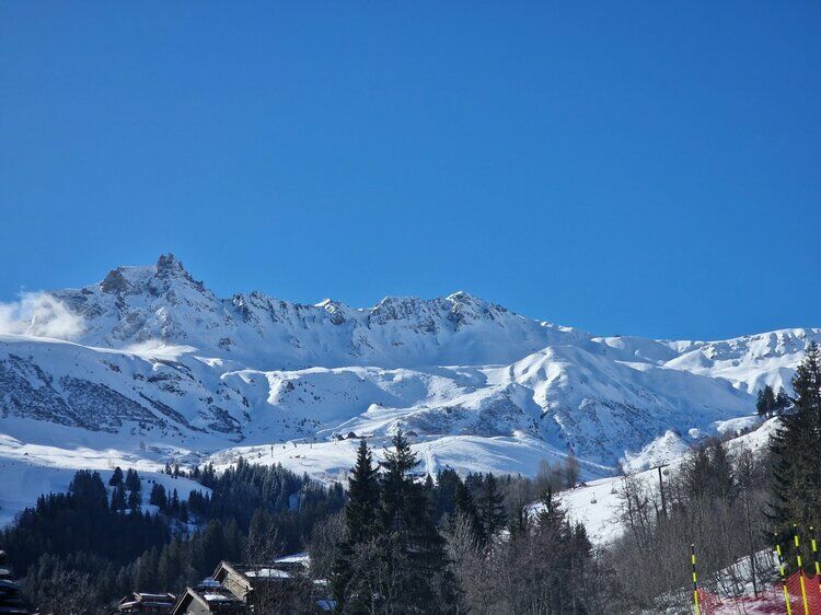 Live-update 137476
