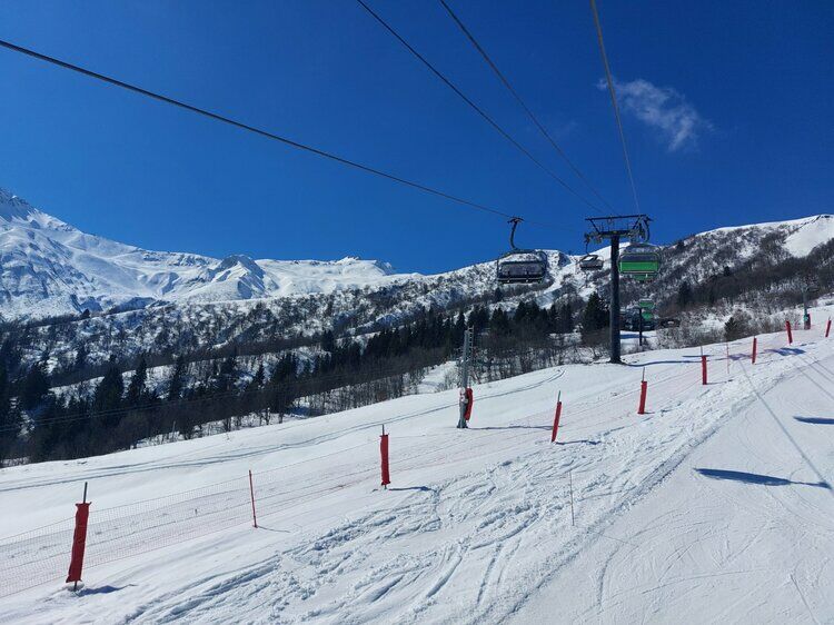 Live-update 138076
