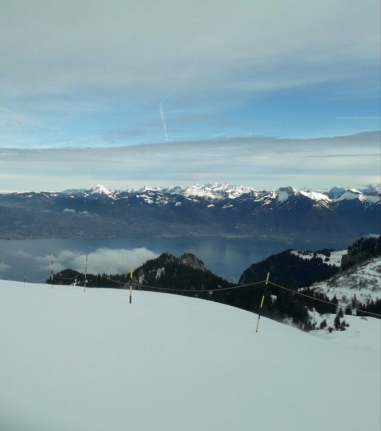 Live-update 103308