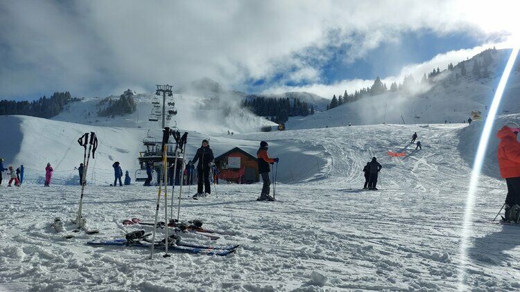 Live-update 152817