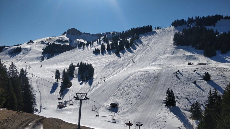 Live-update 99779