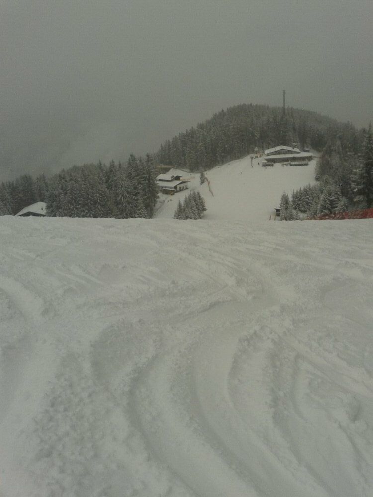 Live-update 33366