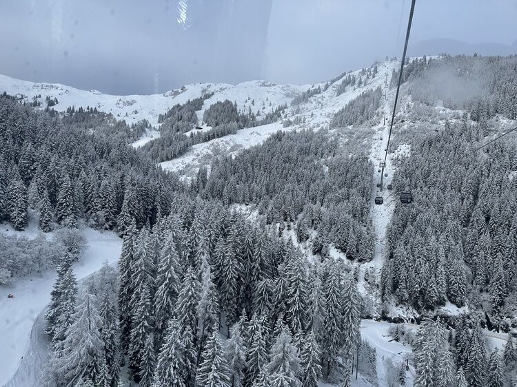 Live-update 157648