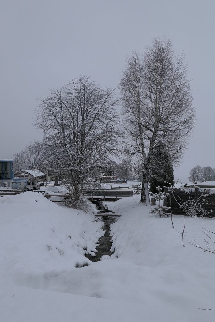 Live-update 134475