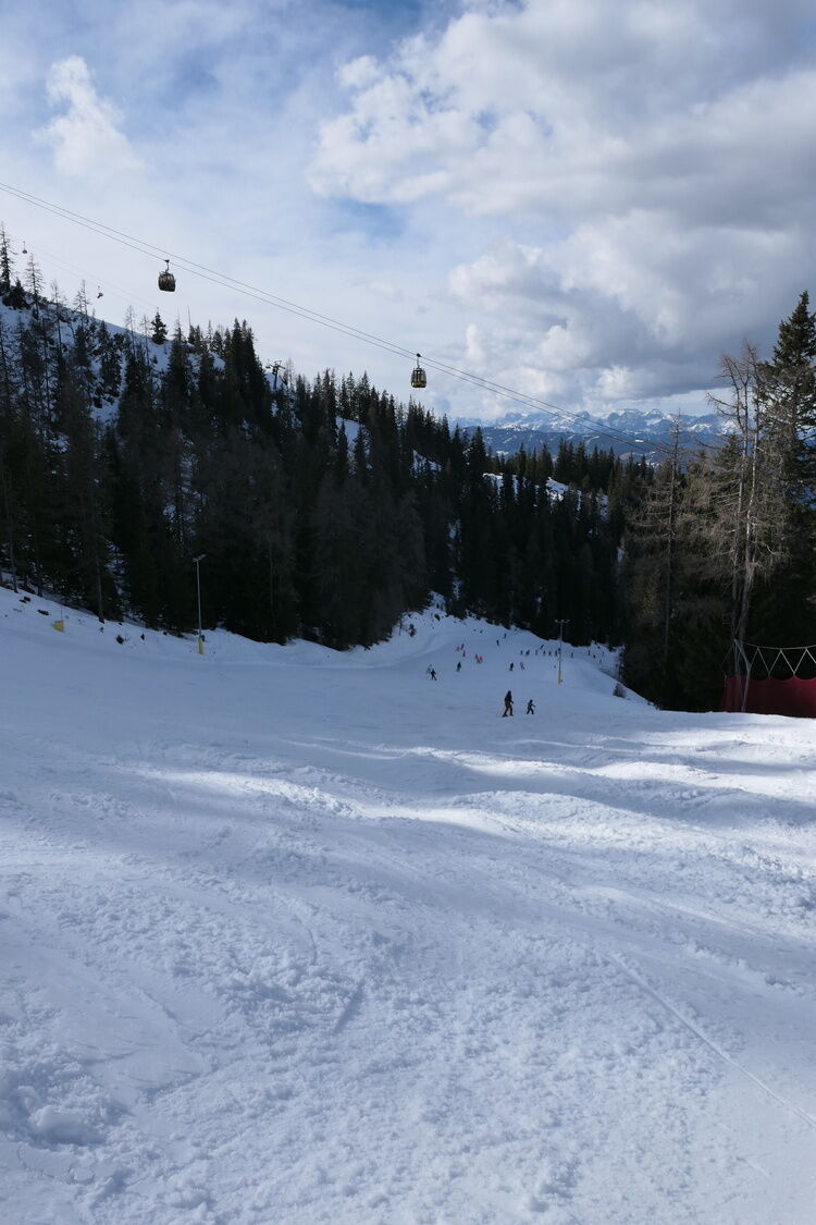 Live-update 157364