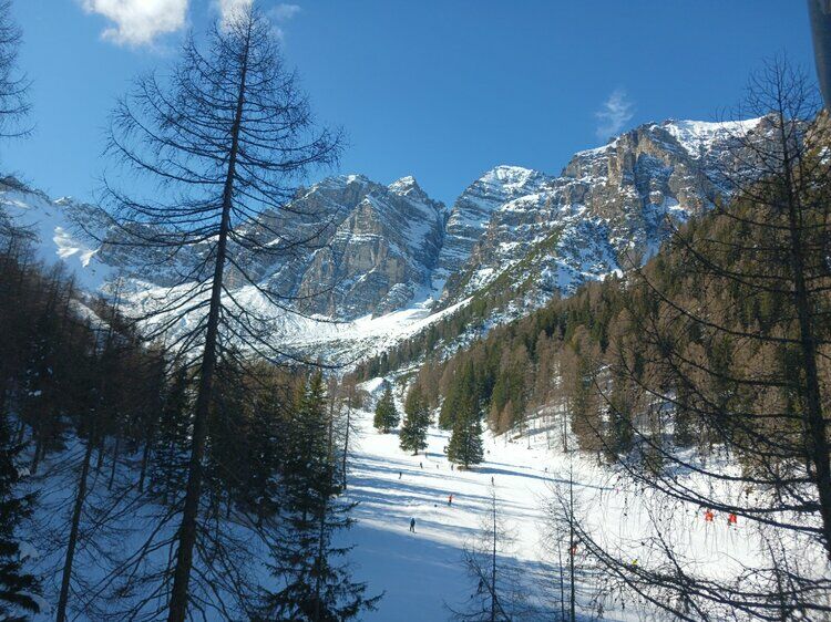 Live-update 155836