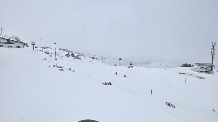 Live-update 134453