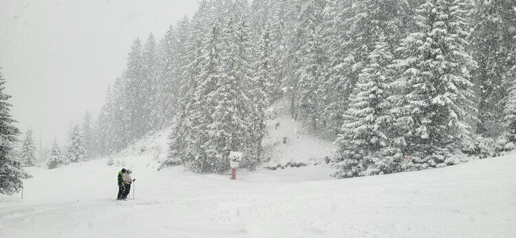 Live-update 158900